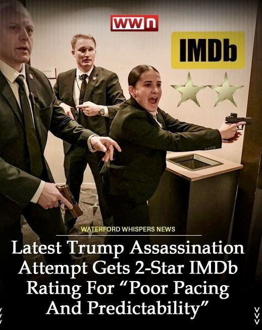 Brown Eyed Susan tweet media