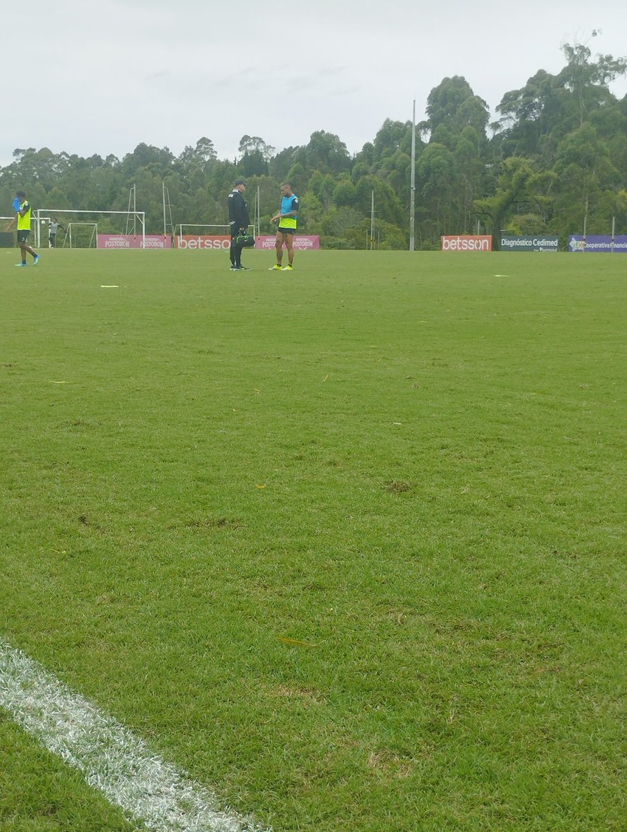 Tribu Verdolaga tweet media