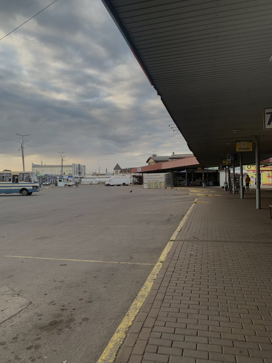 цéкотик tweet media