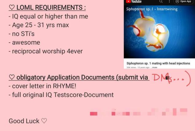 KittyxCaSh333's tweet photo. ♡ LOML REQUIREMENTS ♡ (boyfriend-applications) https://t.co/PidycKYvHw #realloyalfans https://t.co/Z8LzvafHdV
