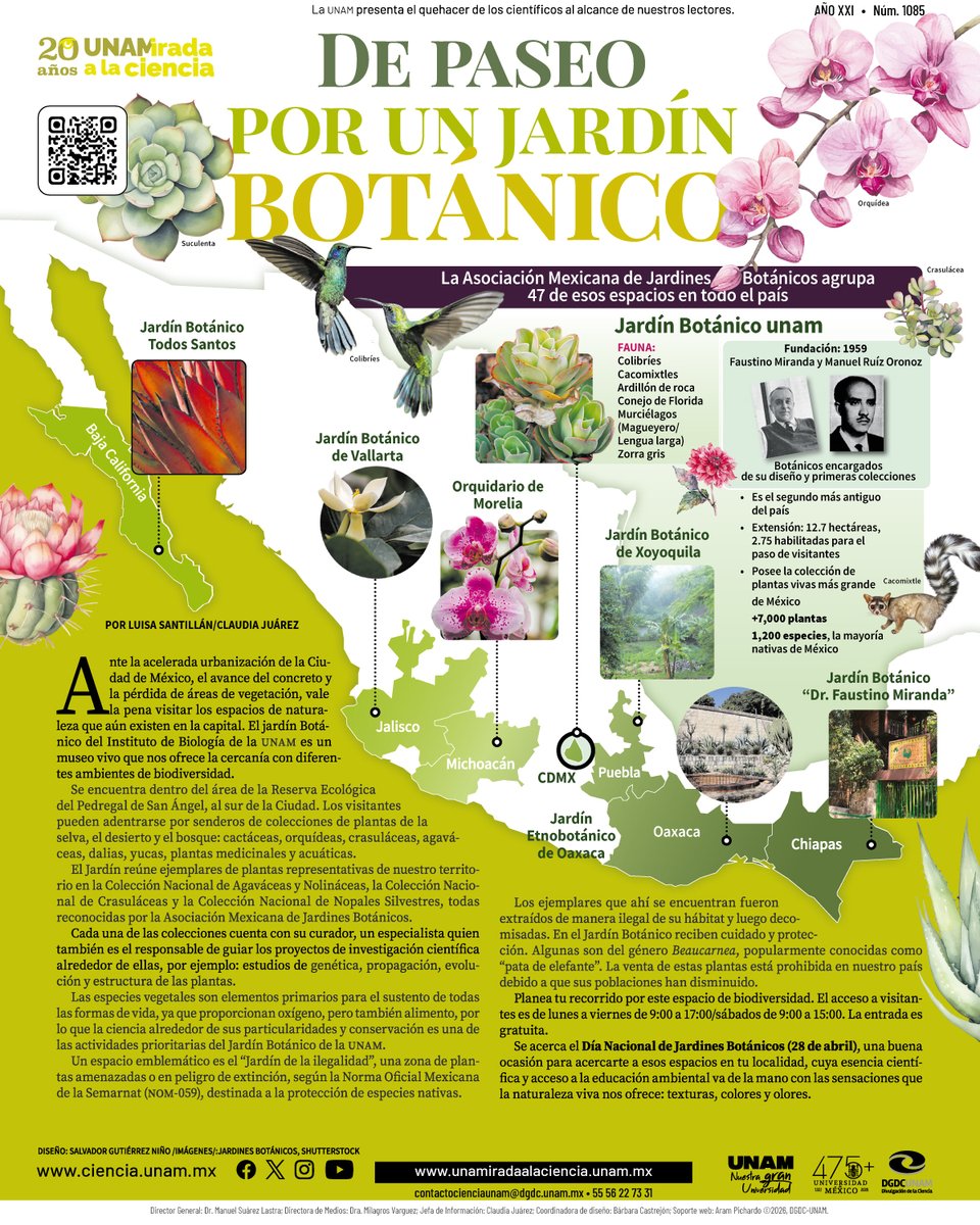 Ciencia UNAM tweet media