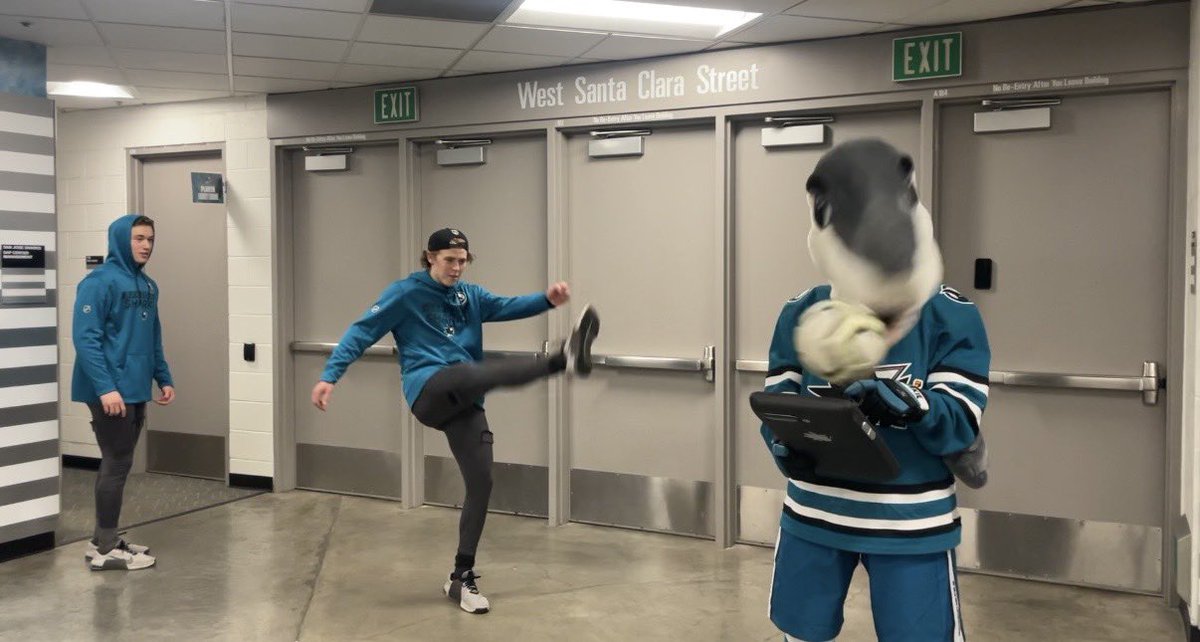 sharkiedaily tweet picture