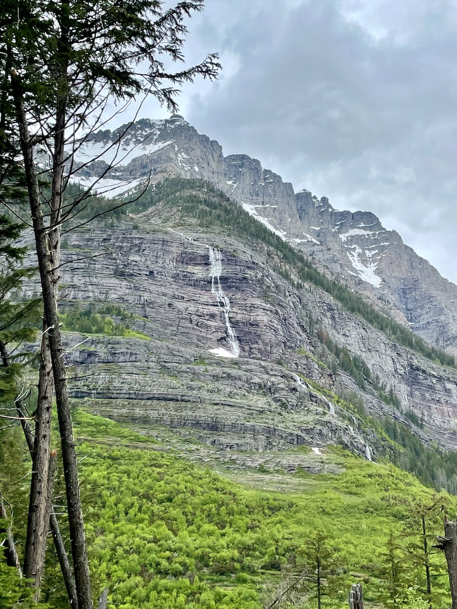 Reilly Neill tweet media