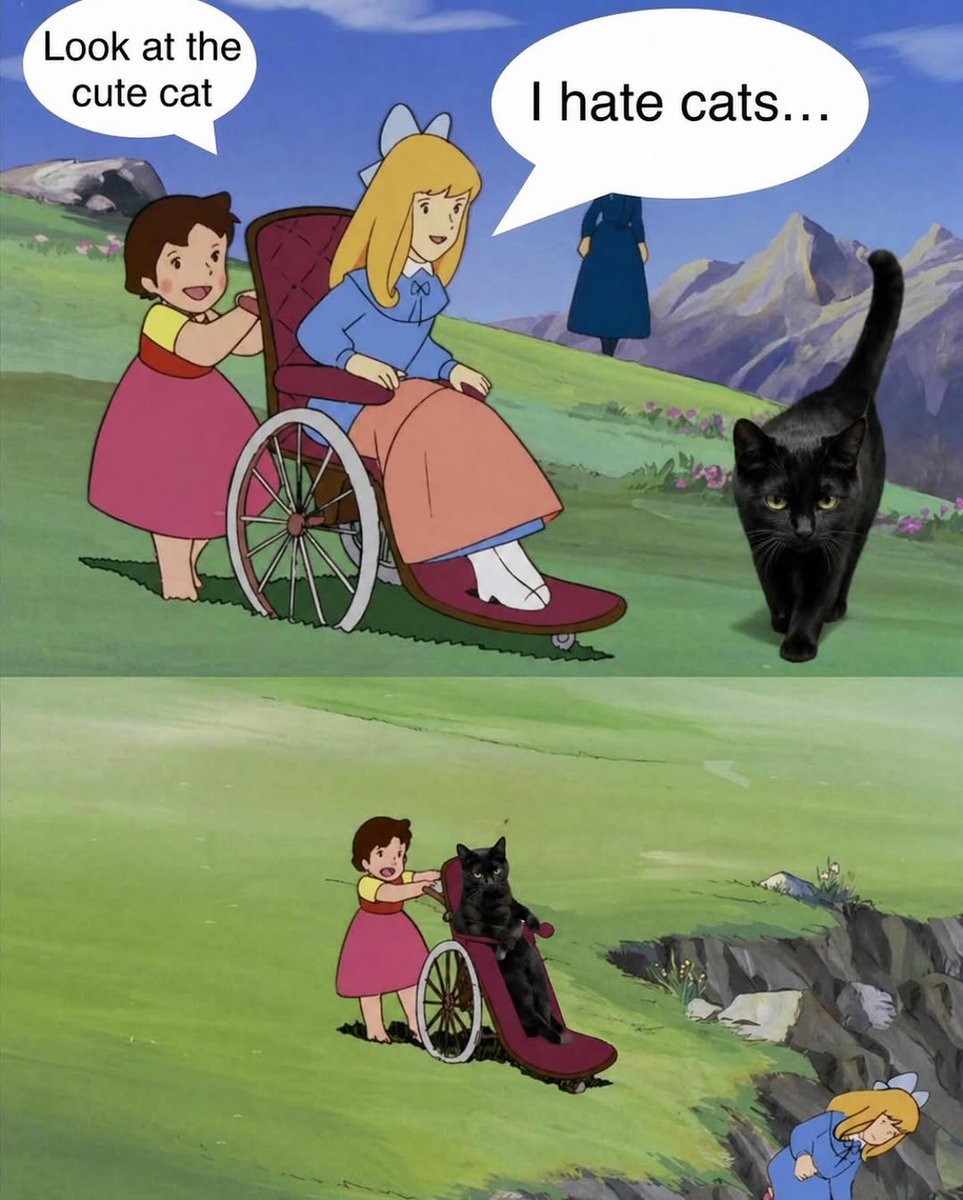 No Cats No Life (@nocatsnolife_m) on Twitter photo 