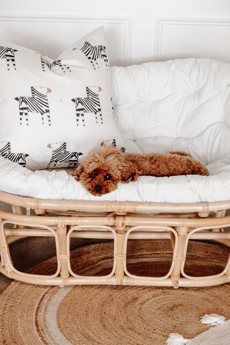 Daniel_BaoMinh's tweet image. Rattan papasan chair with cushion – perfect for living room, reading book, or nursery.

WhatsApp: +84 936 772 770

#rattan #papasan #furniture #wholesale