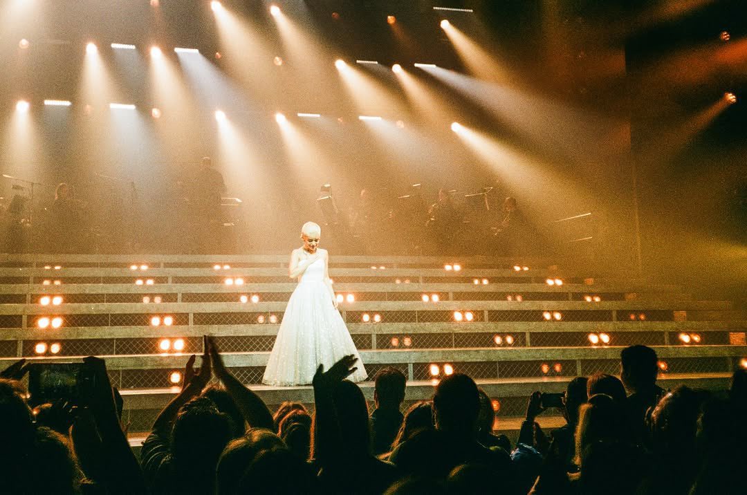 best of district 12 tweet media