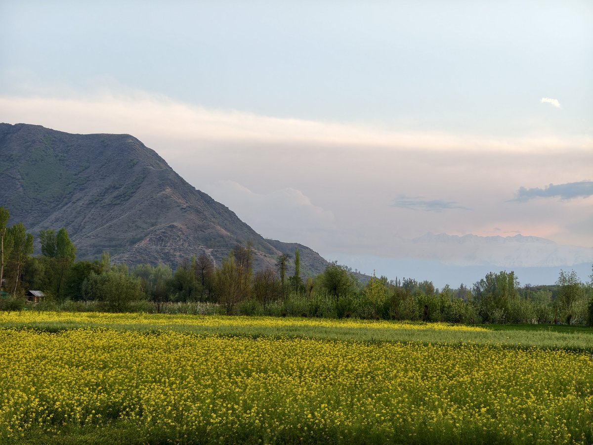 Optimistic399's tweet image. We have nourished the soil of our homeland with our blood,the flowers in this garden do not bloom without reason💐
#Kashmir