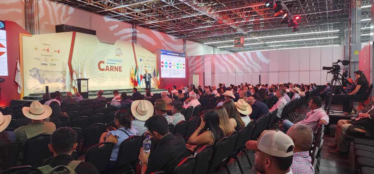 alejandrogomezt's tweet photo. Gracias a @AMEG_AC por la invitación al Congreso de la Carne en Guadalajara, donde tuve la oportunidad de impartir la conferencia “Producción de carne en México y el mundo: perspectiva con análisis internacional”. El principal foro para entender hacia dónde va el sector y los retos que vienen 🥩🌍📊 #CongresodelaCarne