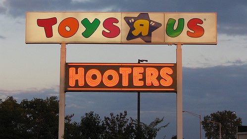 allison harvard burke tweet media