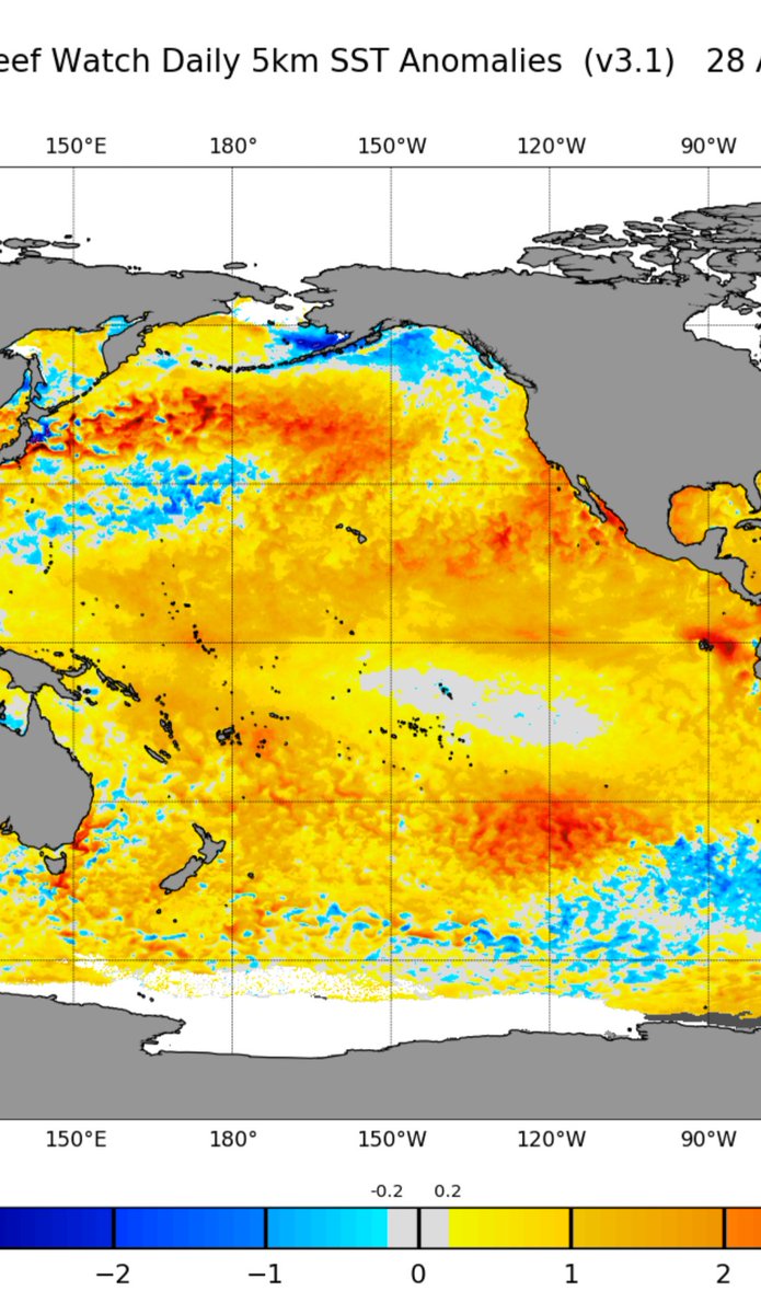 Mark Spitzer tweet media