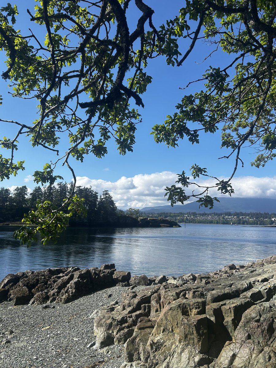 mottsable's tweet image. Wtf how’d I get here!! Never been to the ocean before #crazy