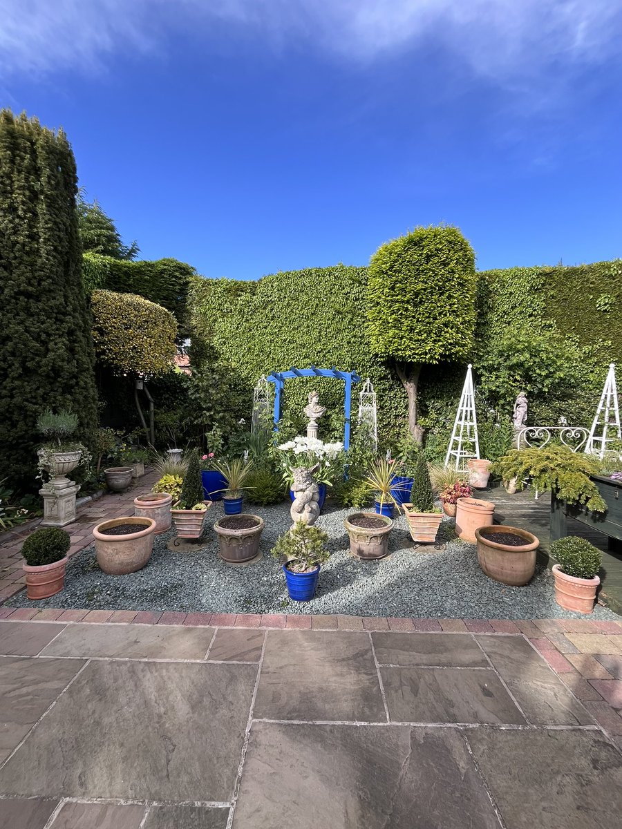 Milhart66Ken's tweet image. More empty pots after removing more bulbs this afternoon. #gardening #gardeninglife #gardenersworld