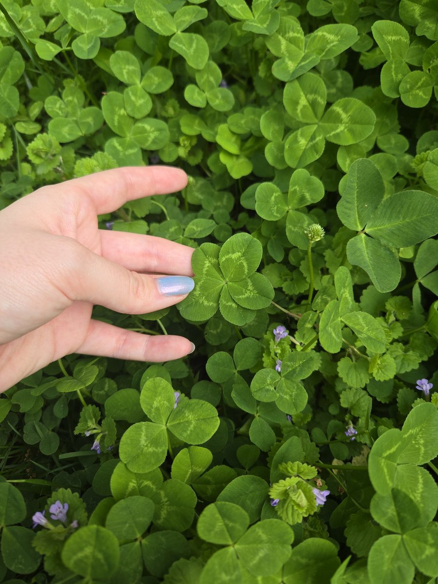 🇨‌🇦‌🇷‌🇿‌🇪‌🇳‌ tweet media