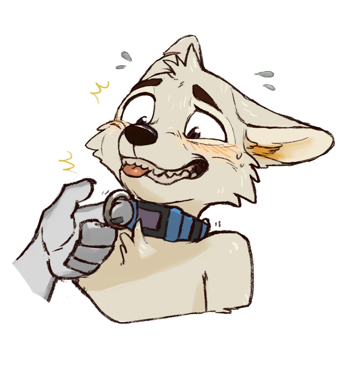 Griffin Dreamblazer 🐺 tweet media