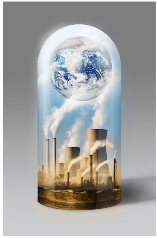 Robert MacDonald tweet media