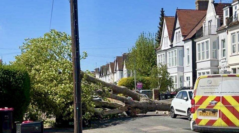 ⚠️ Latest: A huge tree was blown over and landed on a car in Westcliff ...