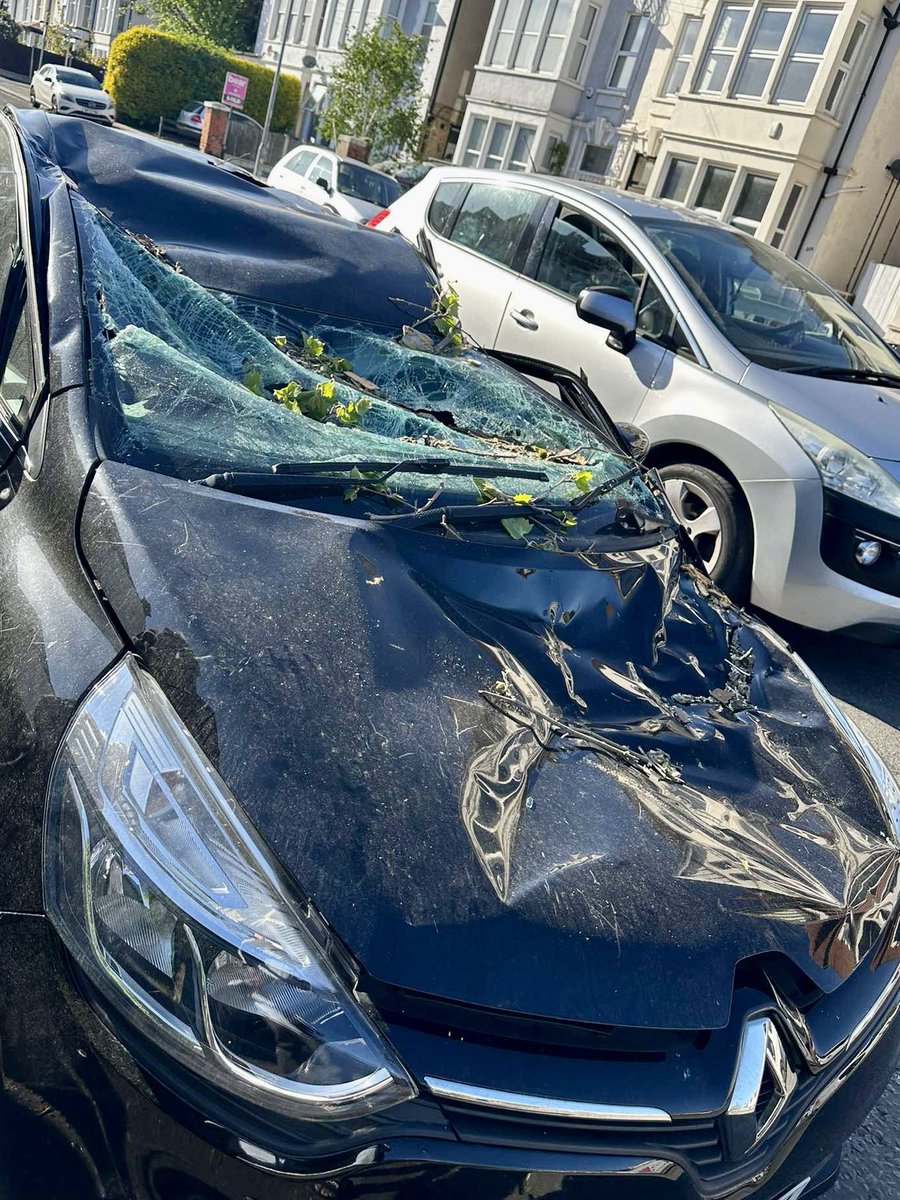 ⚠️ Latest: A huge tree was blown over and landed on a car in Westcliff ...
