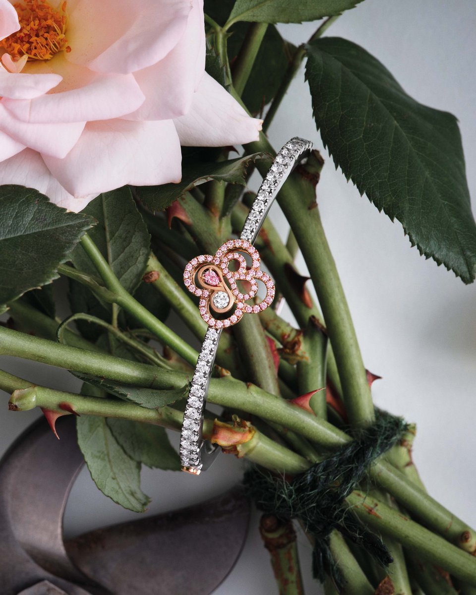 Boodles tweet media