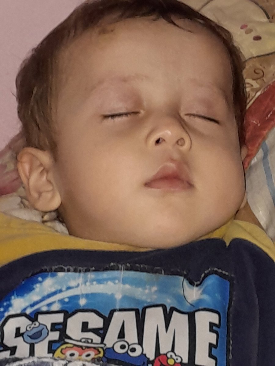 Ali 🍉🇵🇸 tweet media