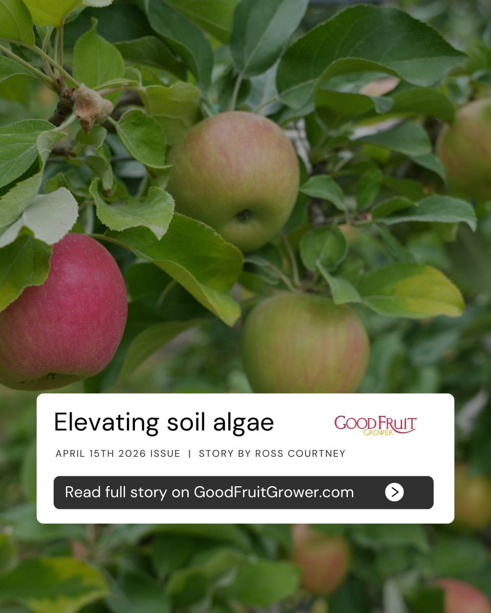 MyLand Agriculture, A Soil Health Company tweet media