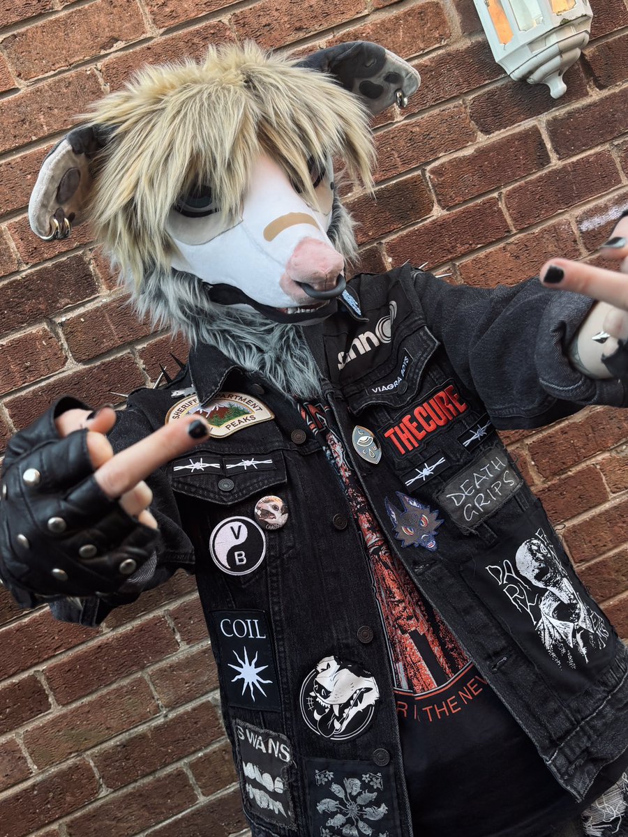 Beau 🔞🐀🔜 CFZ, EF tweet media
