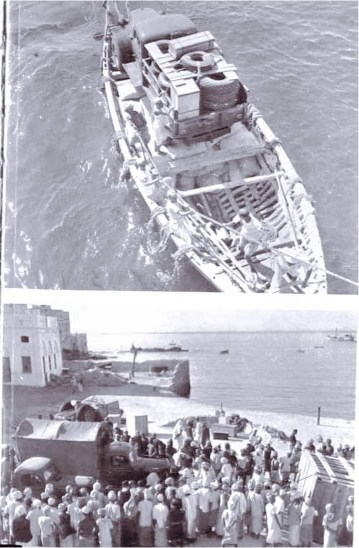 أصل العرب 𐩱𐩮𐩡 𐩽 𐩱𐩡𐩲𐩧𐩨 🇾🇪🇾🇪🇾🇪 tweet media