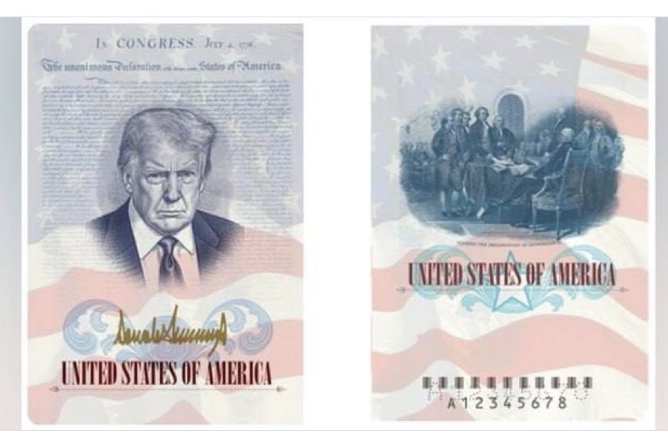 The Buzzing Fly tweet media