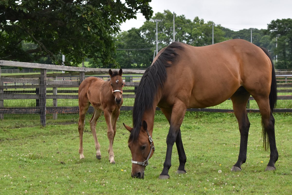 ちひろ tweet media