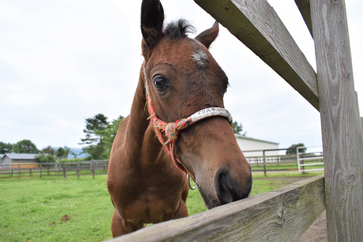 ちひろ tweet media