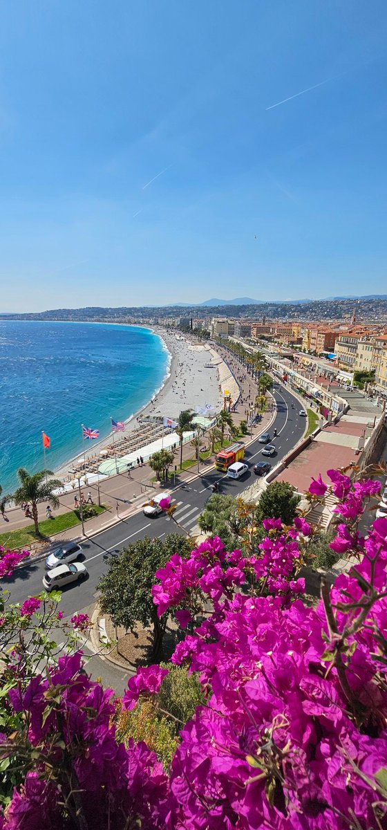 Northstar tweet media