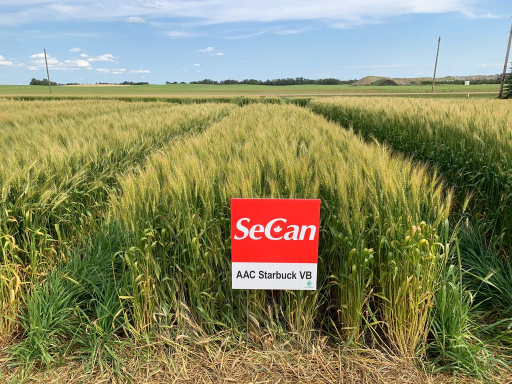 Precision Ag tweet media