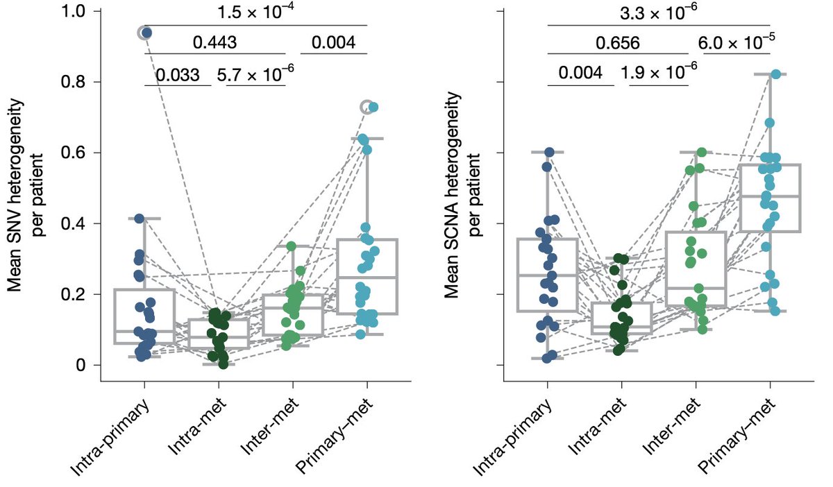 SonyaHessey's tweet image. We found evidence that #metastasis #genomes continued to evolve after dissemination &amp;amp; acquired further driver alterations and WGDs. Nonetheless, overall, metastases appeared genetically more similar to other metastases from the same patient than the ancestral primary tumour. 3/9