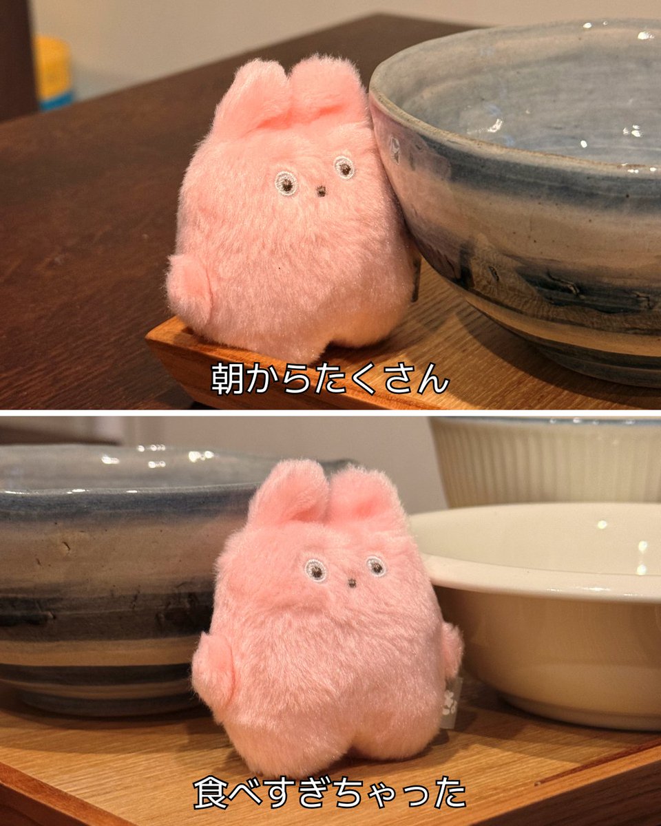 きょむたん tweet media