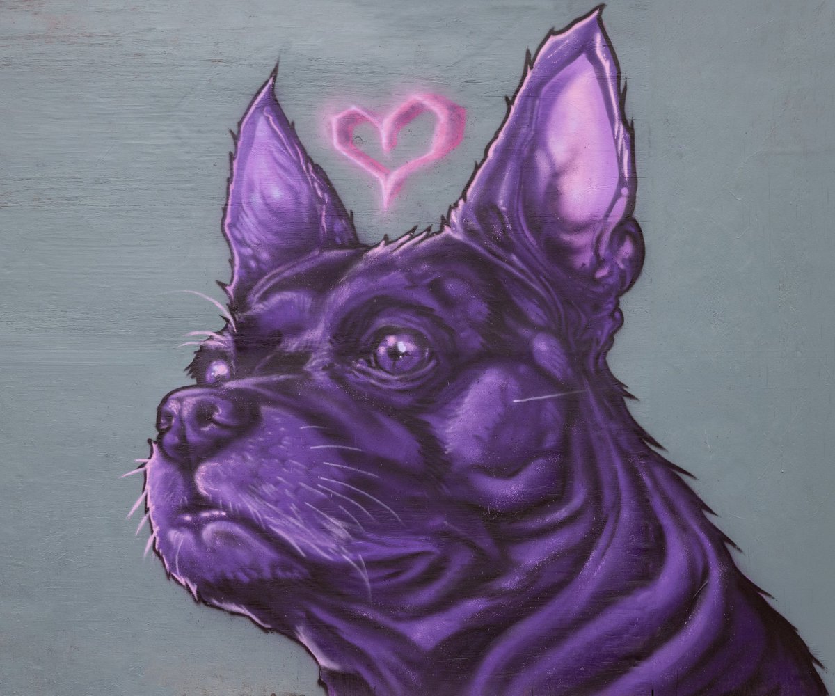 Wombat_Fire's tweet photo. Spray paint on wood panel  16x14
#art
#mural
#pitbull https://t.co/7ySfXVguuK