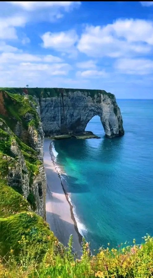 Jacob Shukuru tweet media