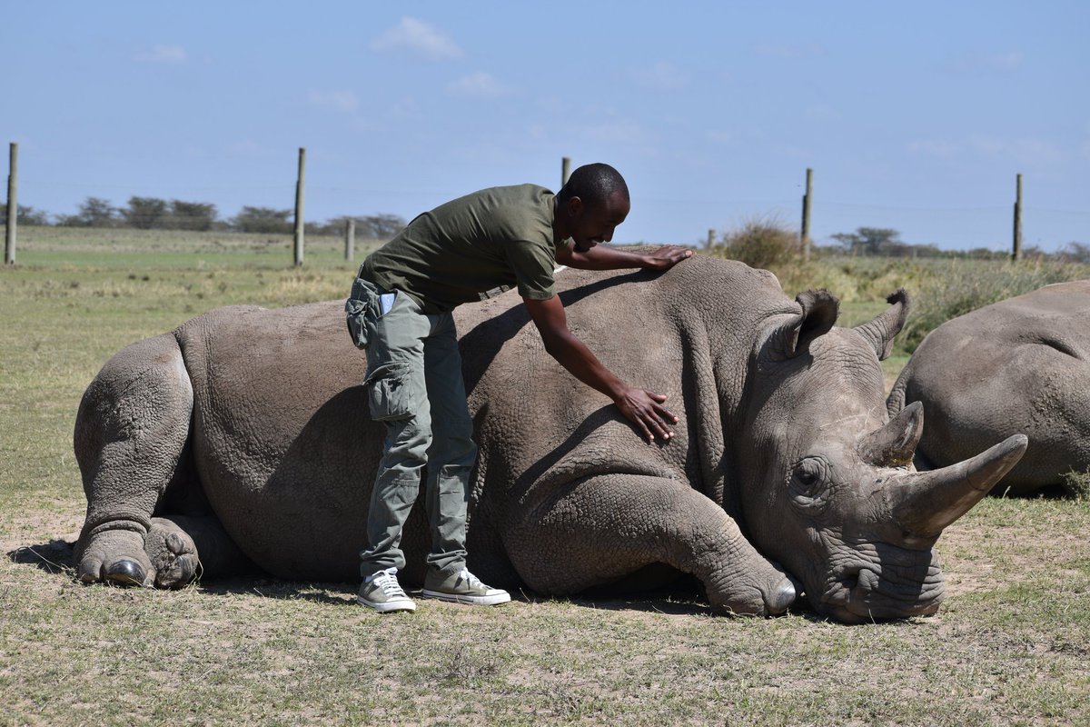 In your lifetime, find something you truly love—something that gives your heart purpose and your soul peace. Dedicate your time, your energy, and your life to it. For me, I choose rhinos—every single day. .
🔗 SUPPORT THIS GREAT CAUSE 👉gogetfunding.com/campaign-walk-…