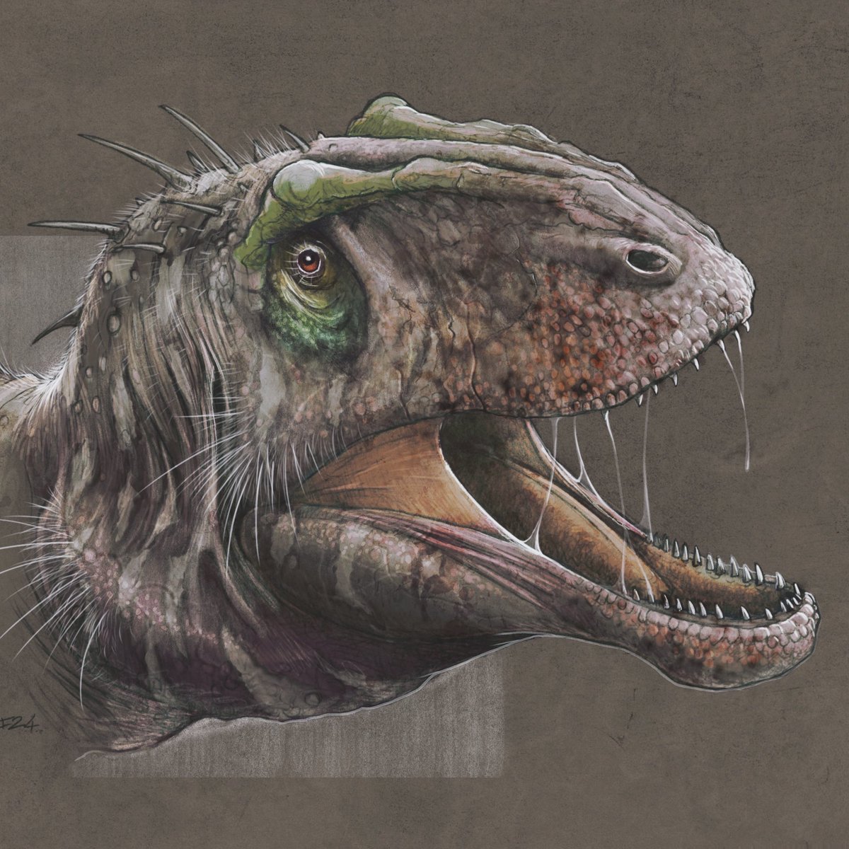 DragonsofWales tweet media