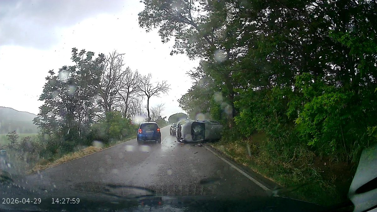 PCChiloeches01 tweet media