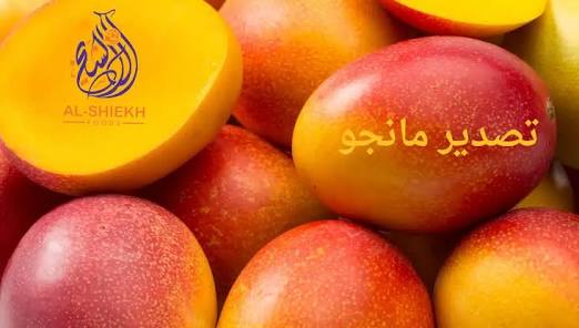 abBsm49's tweet photo. المانجو تنتمي لنفس عائلة "الفستق والكاجو".
​شجرة المانجو يمكن أن تظل مثمرة حتى بعد مرور 300 عام.
​في بعض الثقافات، تُعتبر أوراق المانجو رمزاً للحظ السعيد وتُعلق في المناسبات.
​ختاماً: المانجو هي الفاكهة الوحيدة التي يجمع العالم على حبها. https://t.co/TL78UDqASS