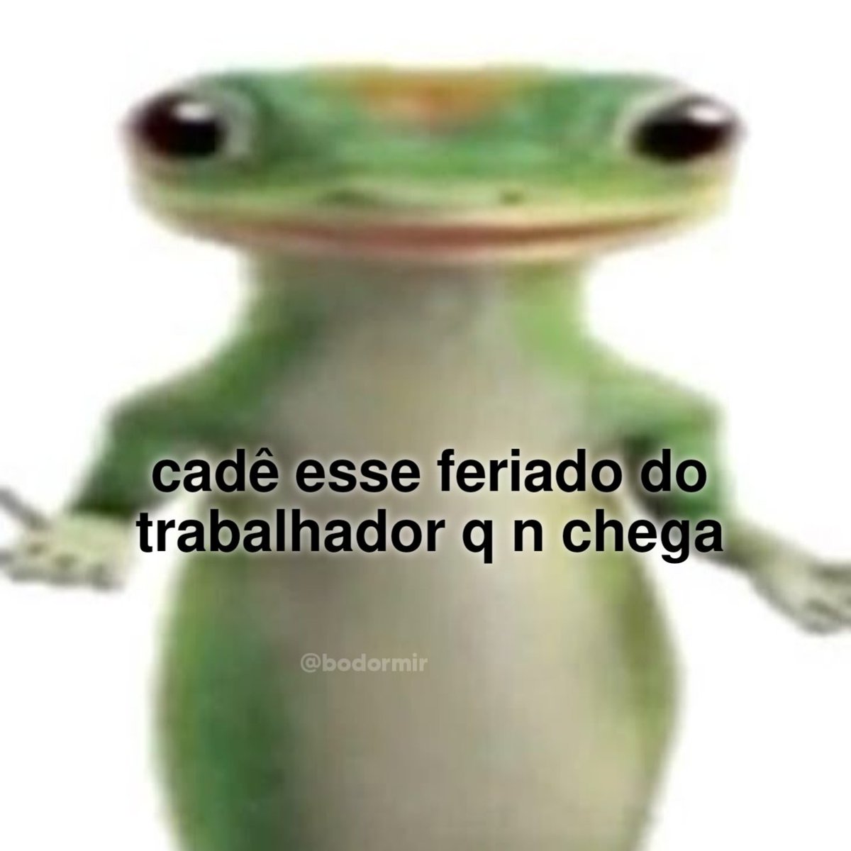 as vezes, dois kikães is janta💤 tweet media