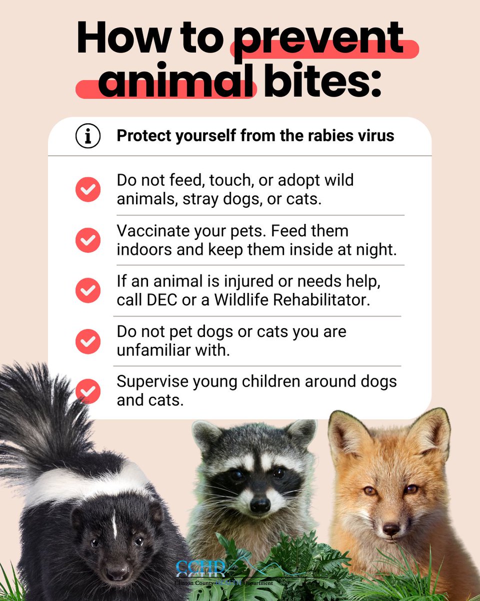 ClintonCountyHD's tweet photo. Last year, 30 residents received #Rabies PEP shots after an #AnimalBite. Over 80% of them could have been avoided by following these guidelines. To learn more about protecting your family from the deadly #RabiesVirus, visit the #NorthCountryHealthEffect (link in bio). https://t.co/8aFVKi7Oex