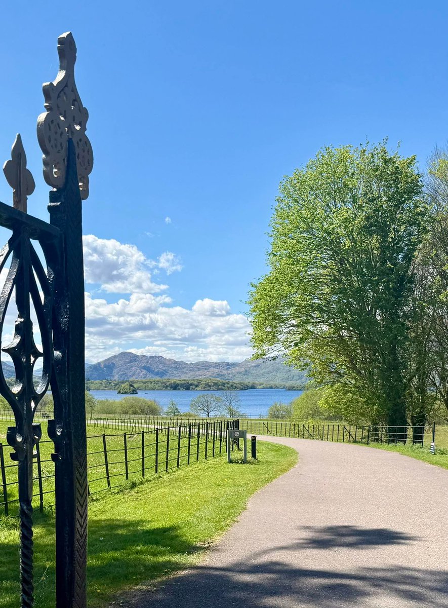 ThisIsIreland3's tweet image. This view walking in these gates in Killarney National Park will always be amazing 😊🏞️💚

📍County Kerry Ireland ☘️ 

📸 Bridget Gleeson Healy 

#Killarney #Ireland #Kerry #NationalPark