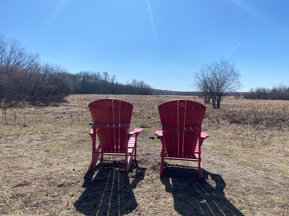 SarahRyanYEG's tweet image. Did you know there’s between 30-50 black bears that call @ElkIslandNP home? There’s been no reported conflicts with visitors and @ParksCanada wants to keep it that way. They’re urging visitors to make noise while hiking, clean up garbage and never leave food unattended. #yeg