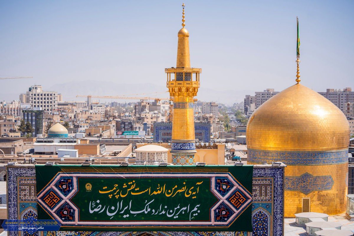 fatemeh hosseini tweet media