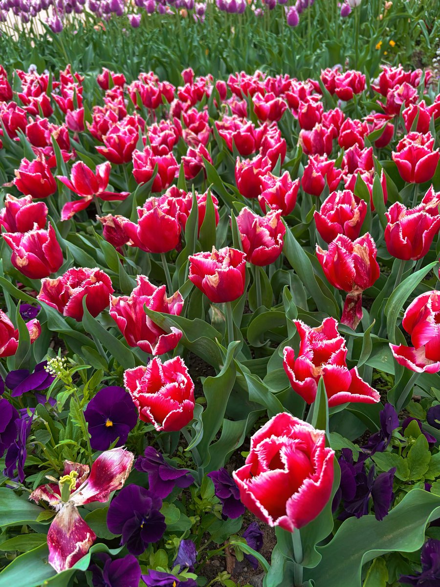 あゆゆ tweet media