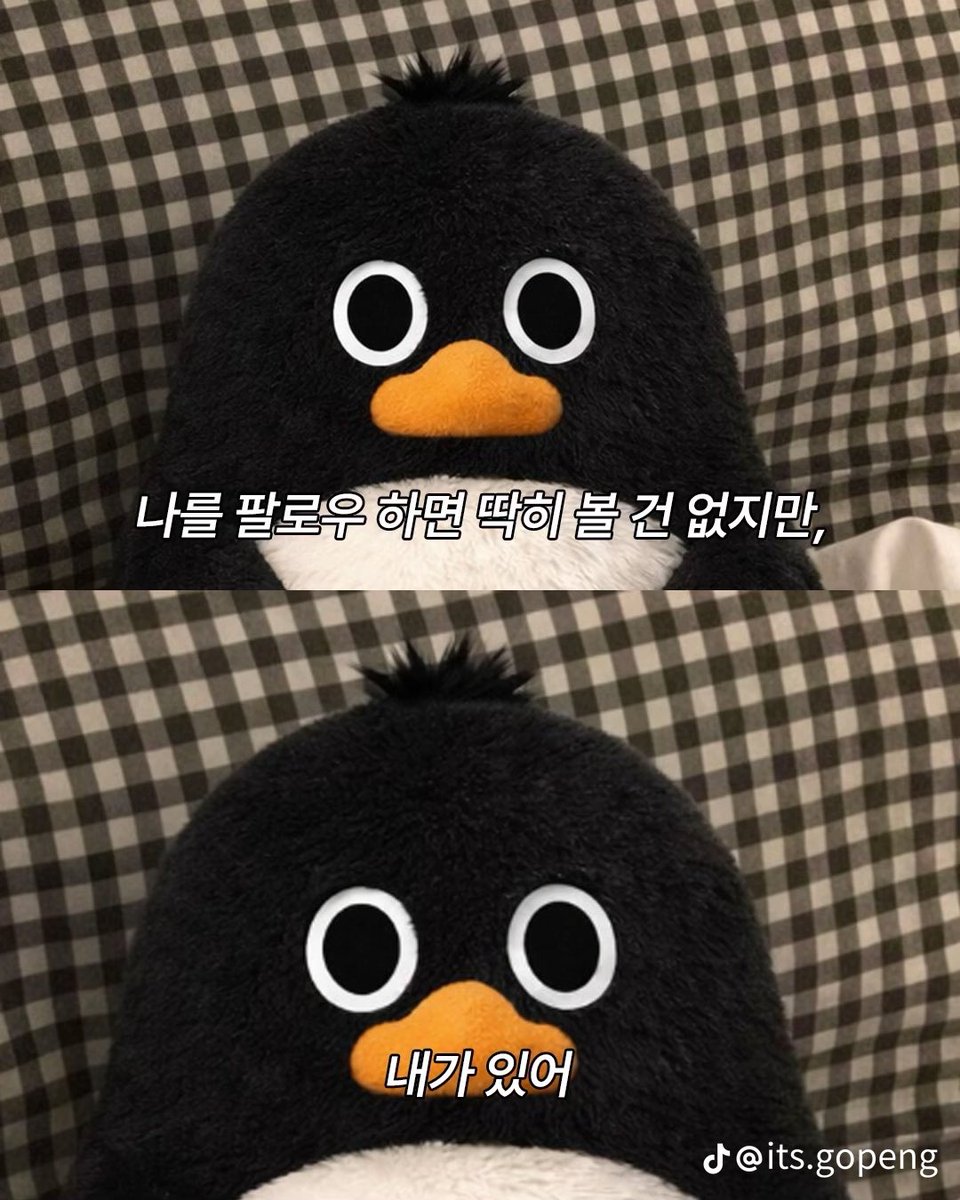 수이 tweet media
