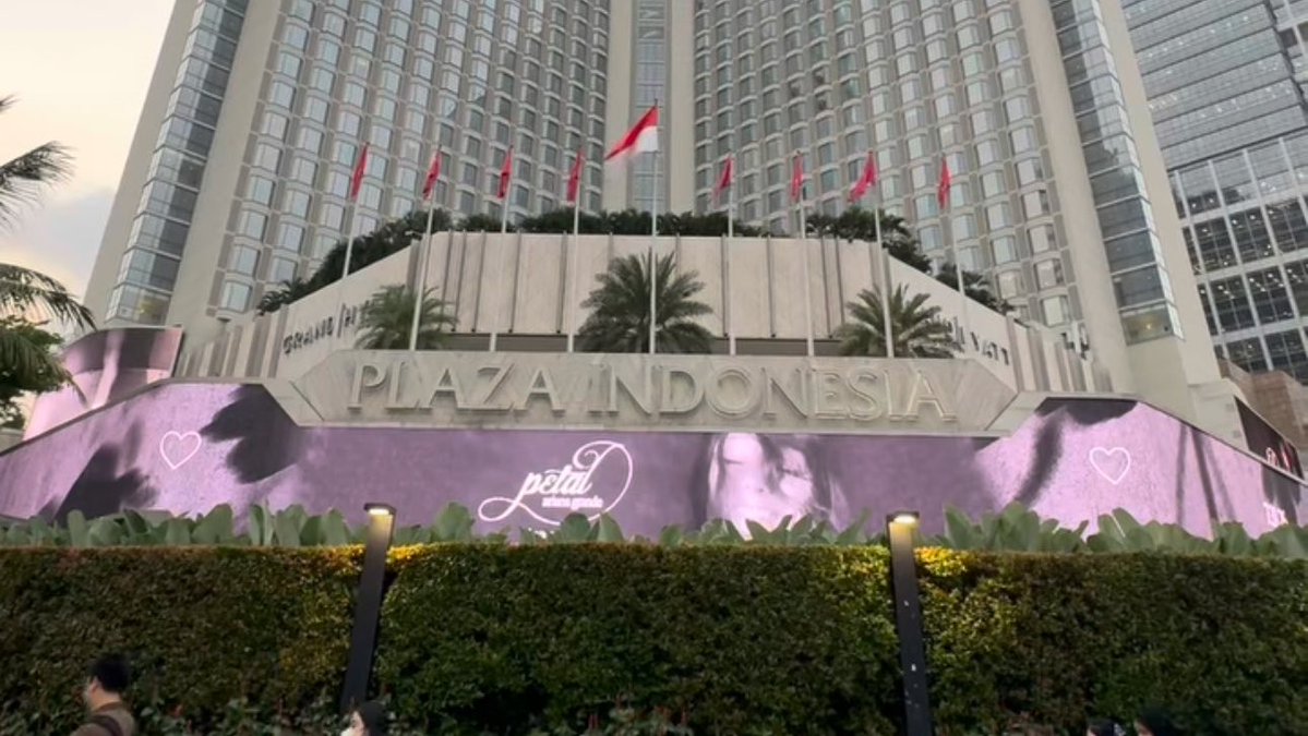 Acervo Petal tweet media