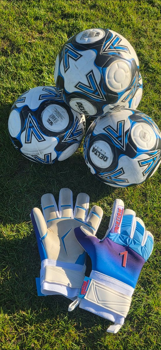 Evolution Goalkeeping Academy tweet media