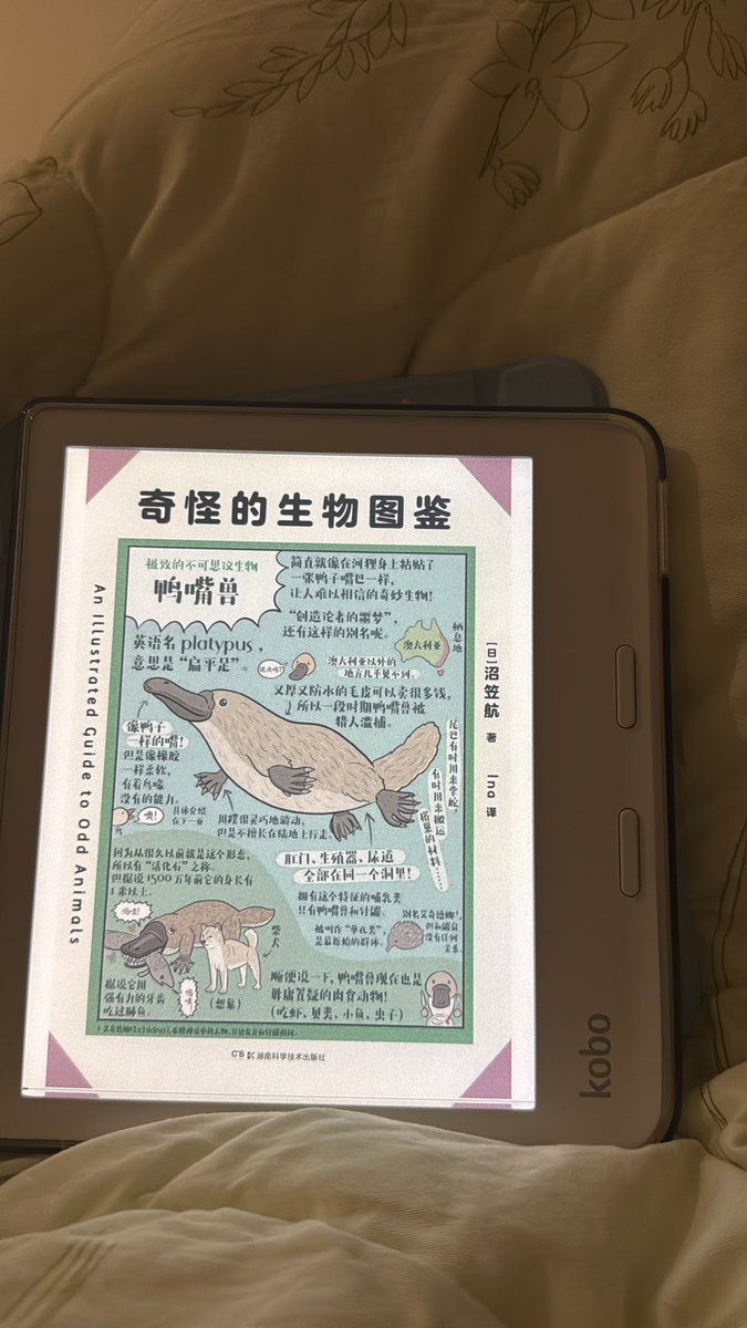 スミヤカ tweet media