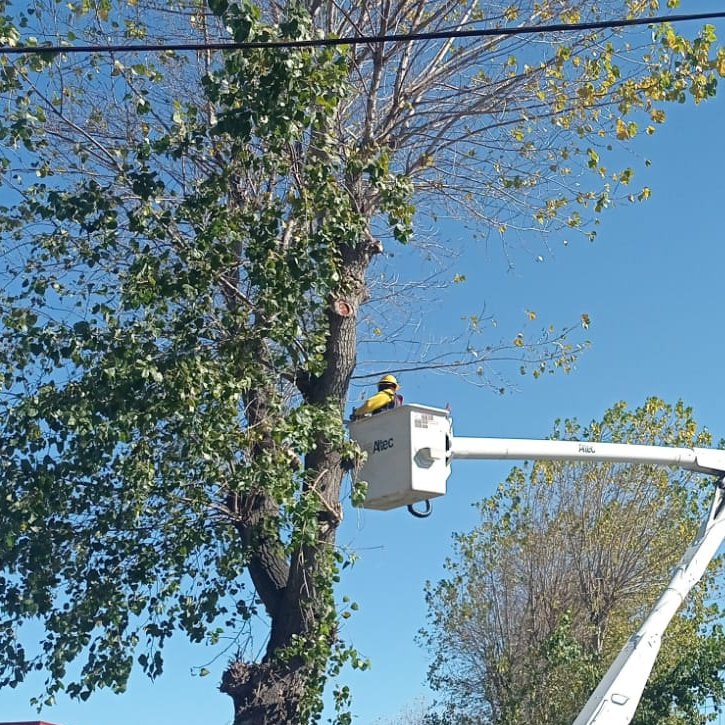 CGE_Clientes's tweet photo. En calle Enrique Soro, en la comuna de #SanPedrodeLaPaz, nuestras brigadas 👷🏻‍♂️ realizan trabajos de despeje de vegetación cercana a líneas eléctricas. Estas labores benefician la continuidad del suministro eléctrico ⚡ #PlanInviernoCGE https://t.co/QmtKgRuz9o